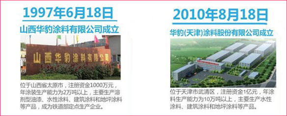 華豹新材料科技發展股份有限公司