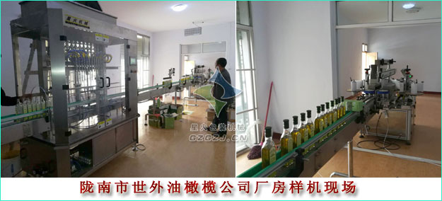 全自動橄欖油灌裝機,瓶裝橄欖油自動灌裝機