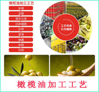 橄欖油加工工藝